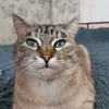 kristinayakub7