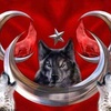 nematturksoy