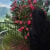 amna.abid_