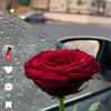 user45611833761650