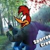 bronswp