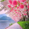 dy5kbgir33lc