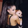 ariana_tor00