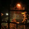 changkhost1