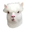 alpaca.d.meadow