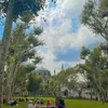 amnaabbas275