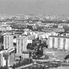 nicosavi3