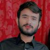 rajaarslan1182