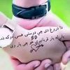 rokhan041