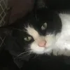 catchrl4