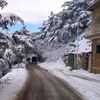 nouha.abdelaziz30