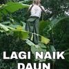kurang_kiki
