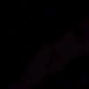 wilthon_ff