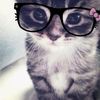 kitty_kat844