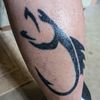 fish_on28