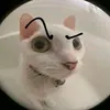 um...brella