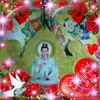 hoatruong6759