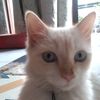 putra_kevin98