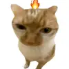 vphp._