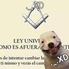 alfredotorres66603