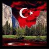 merttemir2