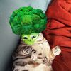 broccolimrow