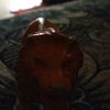manusia.gila.bola5