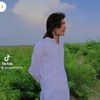 sajidafridi220