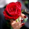 user1263971112978
