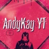 andykayyt