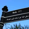 حازم علام 👍👍👍🕋😜