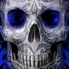 hyok666