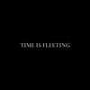 TIME IS FLEETING
