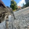 mathilda_526