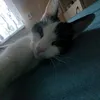 its._.regi