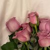 nesrineach98