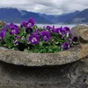 anaanagri