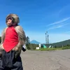 n.i_2.0