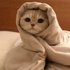 esraa_ashraff279
