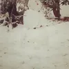 takatak1982