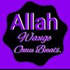 ashimat01