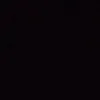 leozinknj
