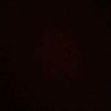 vill_vivi