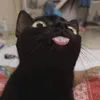 yuiiiri00