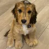 newlynda1