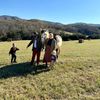Roslyn Farm