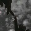 haneen.amr83