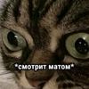 mintloaf_