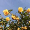 _.taka.osbka._