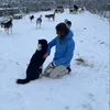 enyalambrecht18